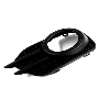 View Fog Light Trim Full-Sized Product Image